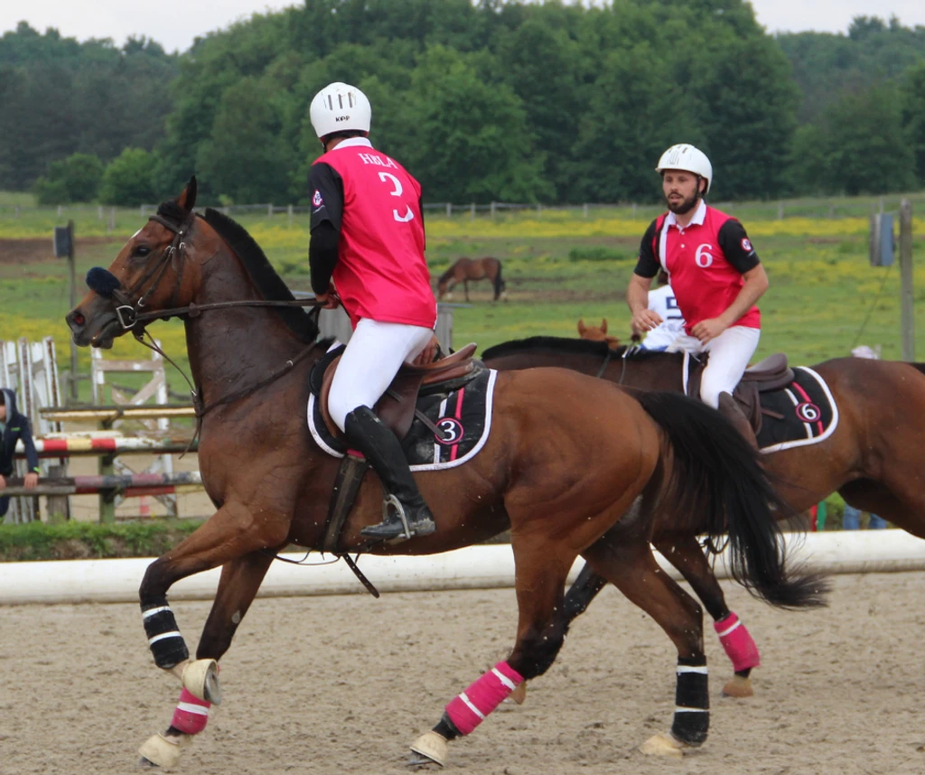 Photo de groupe de l'equipe amateur HBLA avant un match de horseball